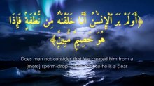 سورة يس | آيات 77-82 | Surah Yaseen 36:77-82