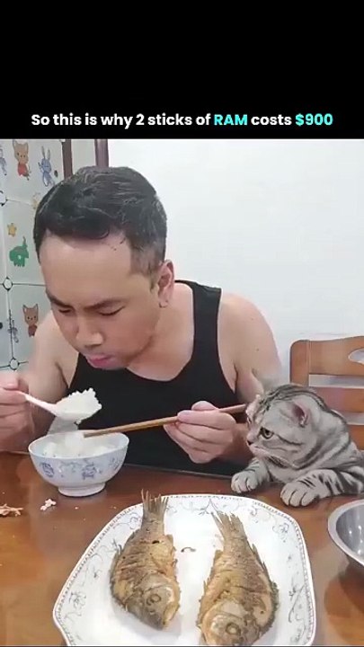 😂😅🤣😂😅🤣 ‌If you liked the video, don’t forget to like, comment, and follow🙏