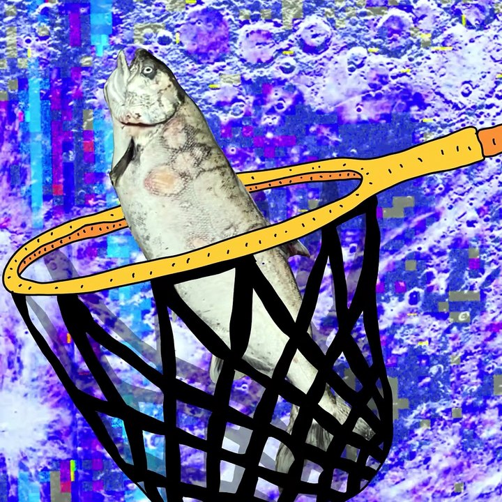 "Catch and Release"