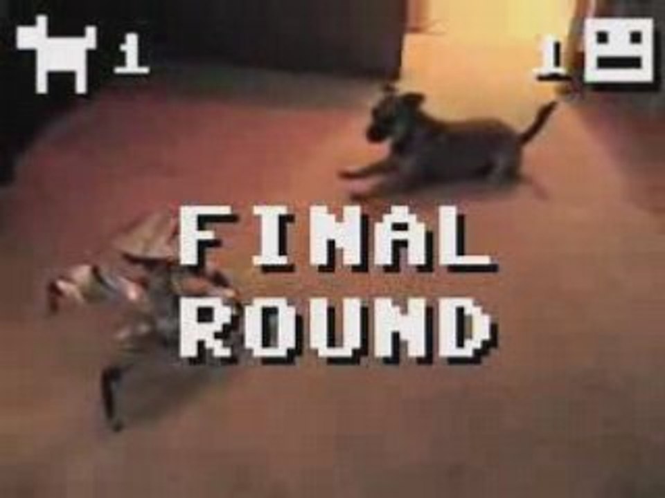Robot Vs Perro