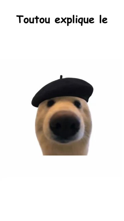 trouble bipolaire