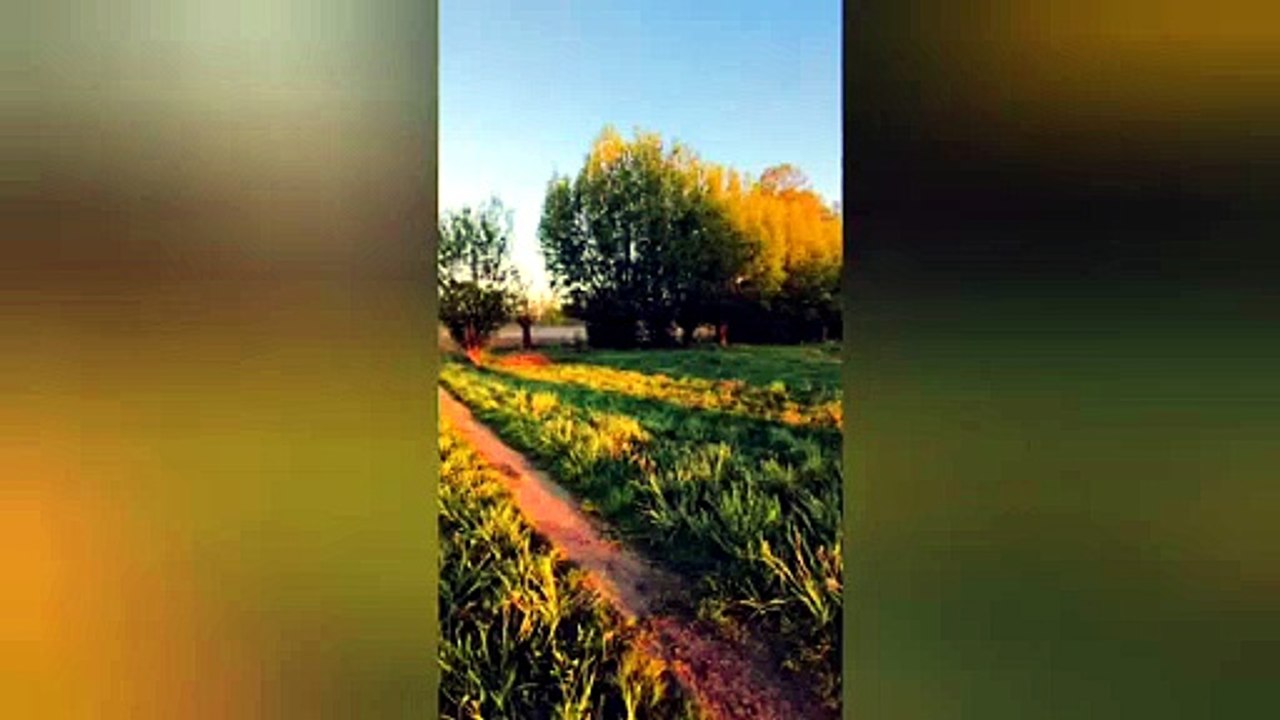 Duygusal  Türkü   Fon   Müziği  ( kaval , mey , ve  bağlama  sesi  ) aimusic