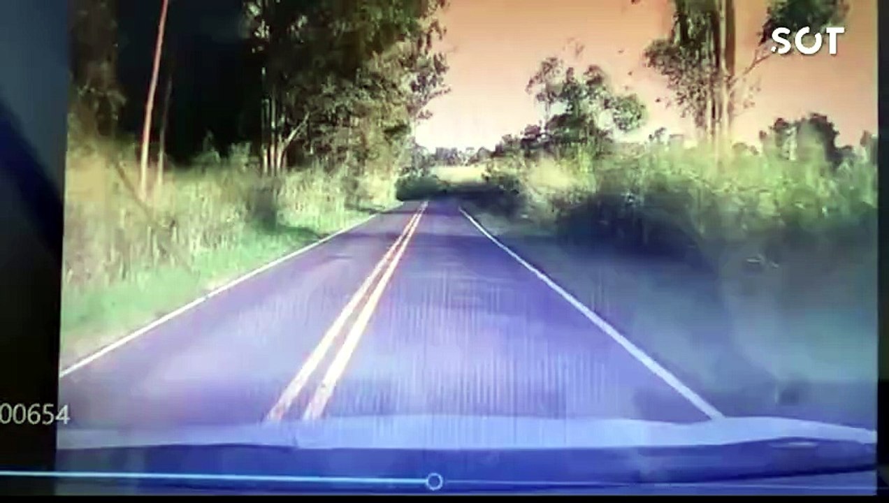 Vídeo revela ultrapassagem proibida antes de tragédia com três mortes na PR-340 no Paraná