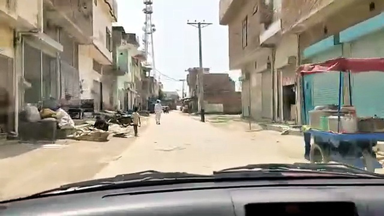 قوالی ایک مکمل درخت ہے