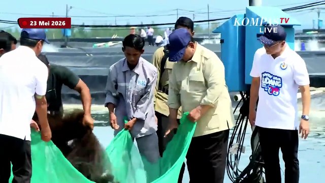 [FULL] Prabowo Panen Raya Udang di Kebumen, Tarik Jala Bareng Penambak hingga Rangkul Warga