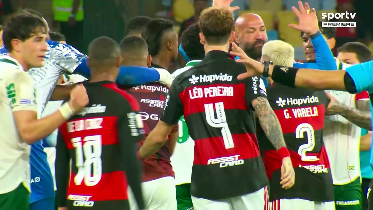 Muita confusão após terceiro gol do Palmeiras e comemoração de Paulinho