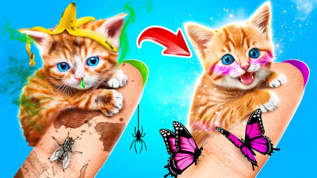 Pet Care Hacks: Transform Your Home for Happier Pets