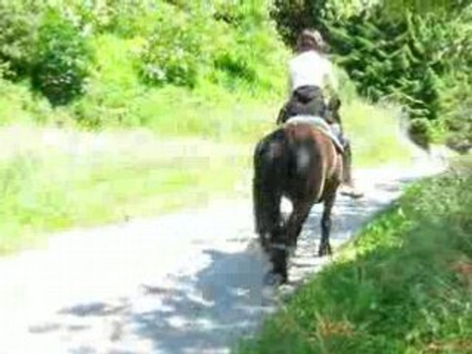 Patty au trot avec Qualia