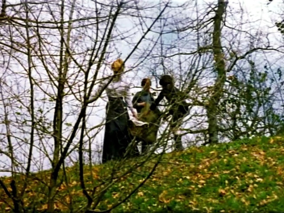 Il mostro è in tavola... barone Frankenstein (Flesh for Frankenstein) è un film del 1973, diretto da Paul Morrissey e Andy Warhol.