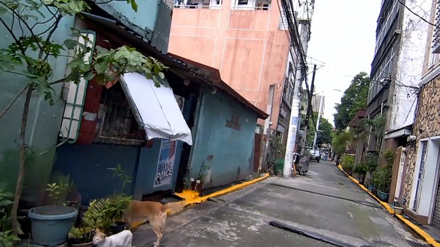 Calm Stroll on Ma. Luisa Street in Manila City in the Philippines