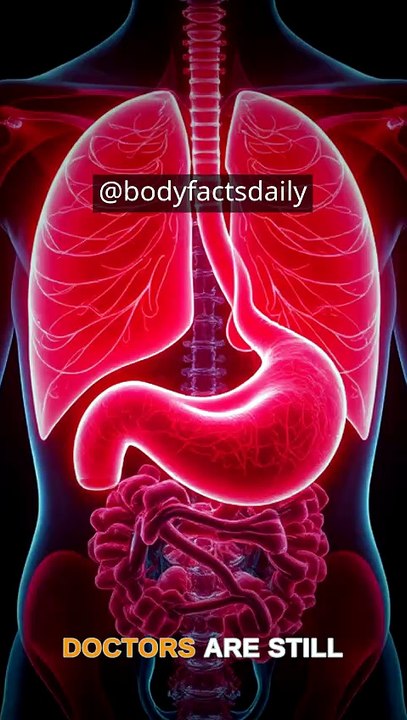 Why Doctors Ban Food Before Surgery