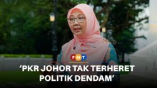 PKR Johor tak terheret ‘politik dendam’, polemik tak membina, kata Zaliha
