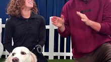 Would Your Dog Pick $10,000 or Steak_