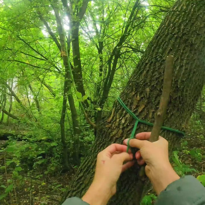 Camping Hacks That Will Elevate Your Outdoor Ad...