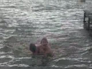 Alerte à Malibu en Bretagne