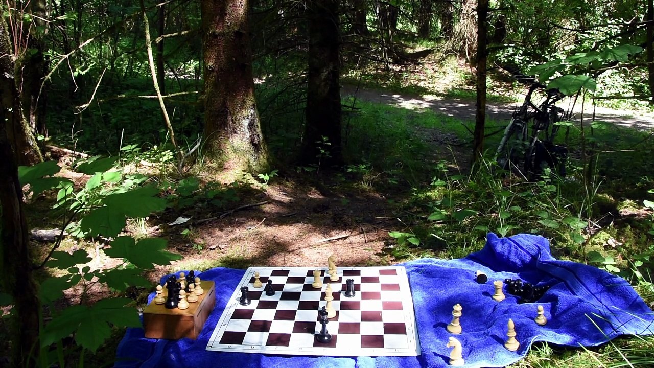 Oleg Pervakov´s Chess study