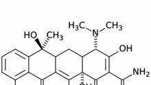 Tétracycline