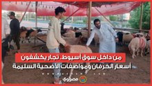 من داخل سوق أسيوط.. تجار يكشفون أسعار الخرفان ومواصفات الأضحية السليمة