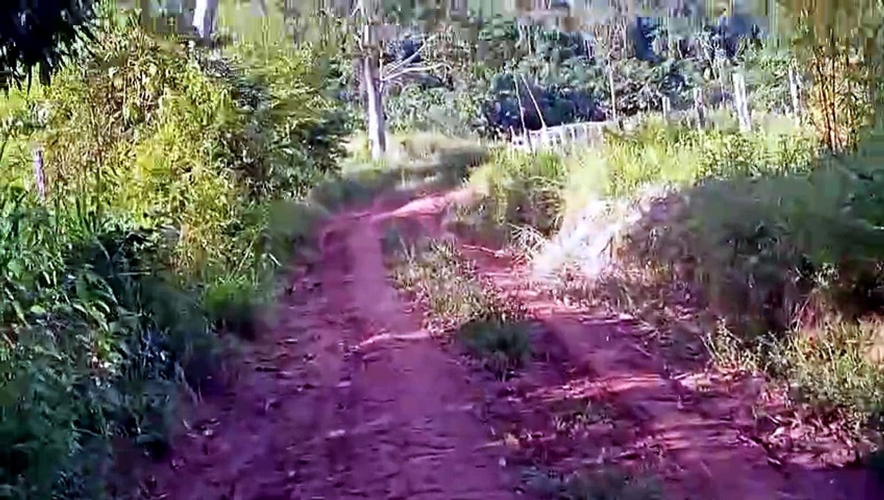 VANTAGENS DE MORAR NA ROÇA