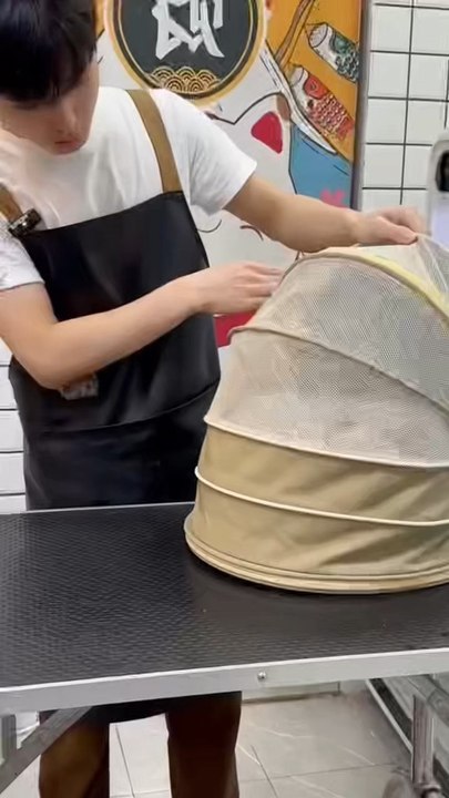 Crazy cat