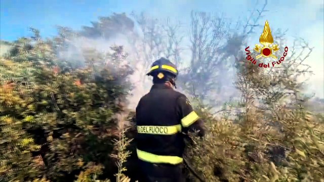 Vasto incendio a Viddalba, in fiamme ettari di macchia mediterranea - Ecco il video dei vigili del fuoco