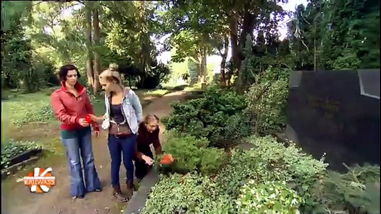 Der_falsche_Vater_Zwei_bei_Kallwass
