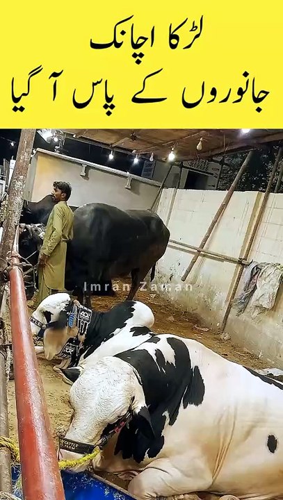 Larka Achanak Andar Agaya😱