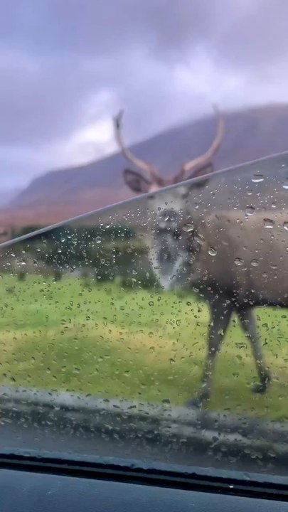 📍Glencoe, Highland - Scotland 🏴
