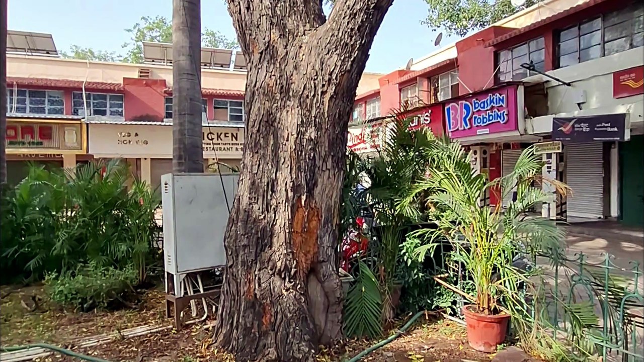 Inside Delhi’s Most Famous VIP Food Market! | Pandara Road 4K 60fps (Walking Tales)