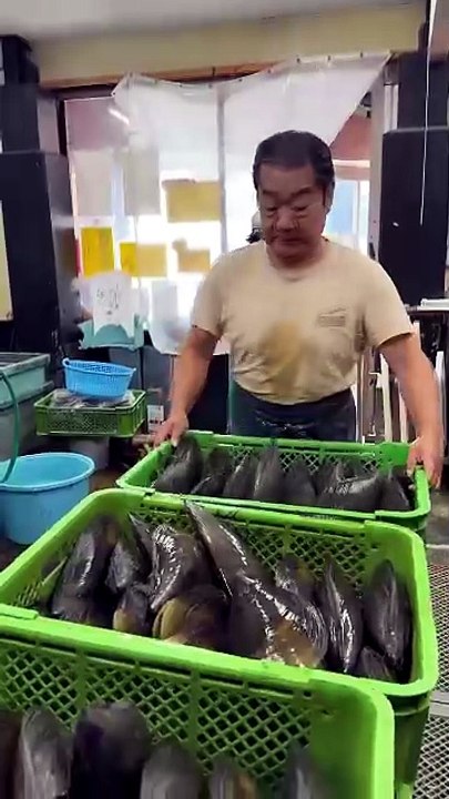 The largest shellfish in Japan🐚