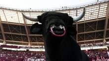 Torino-Juventus X-X: il film della partita