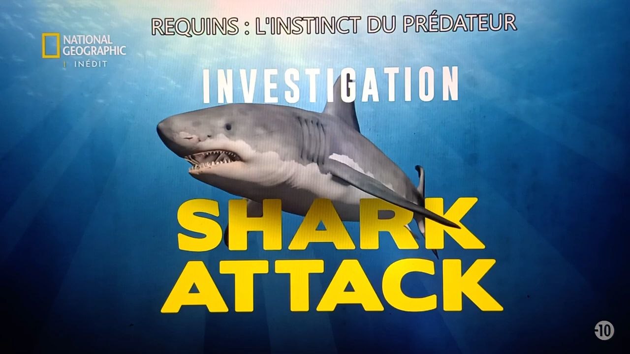 Requin documentaire animalier