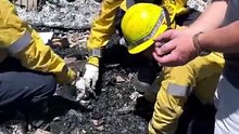 EUA: Bombeiros encontram aliança nas cinzas de casa consumida por fogo