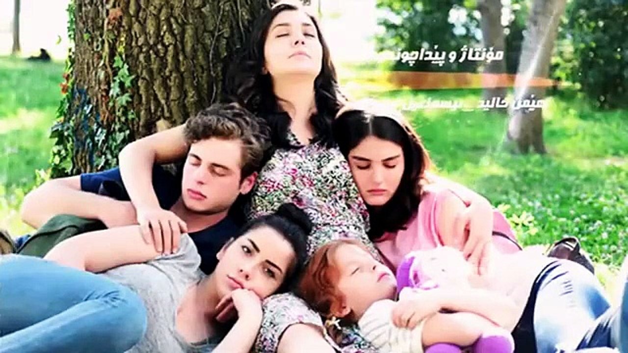 چۆلەکە بێ باڵەکان ئەڵقەی 5