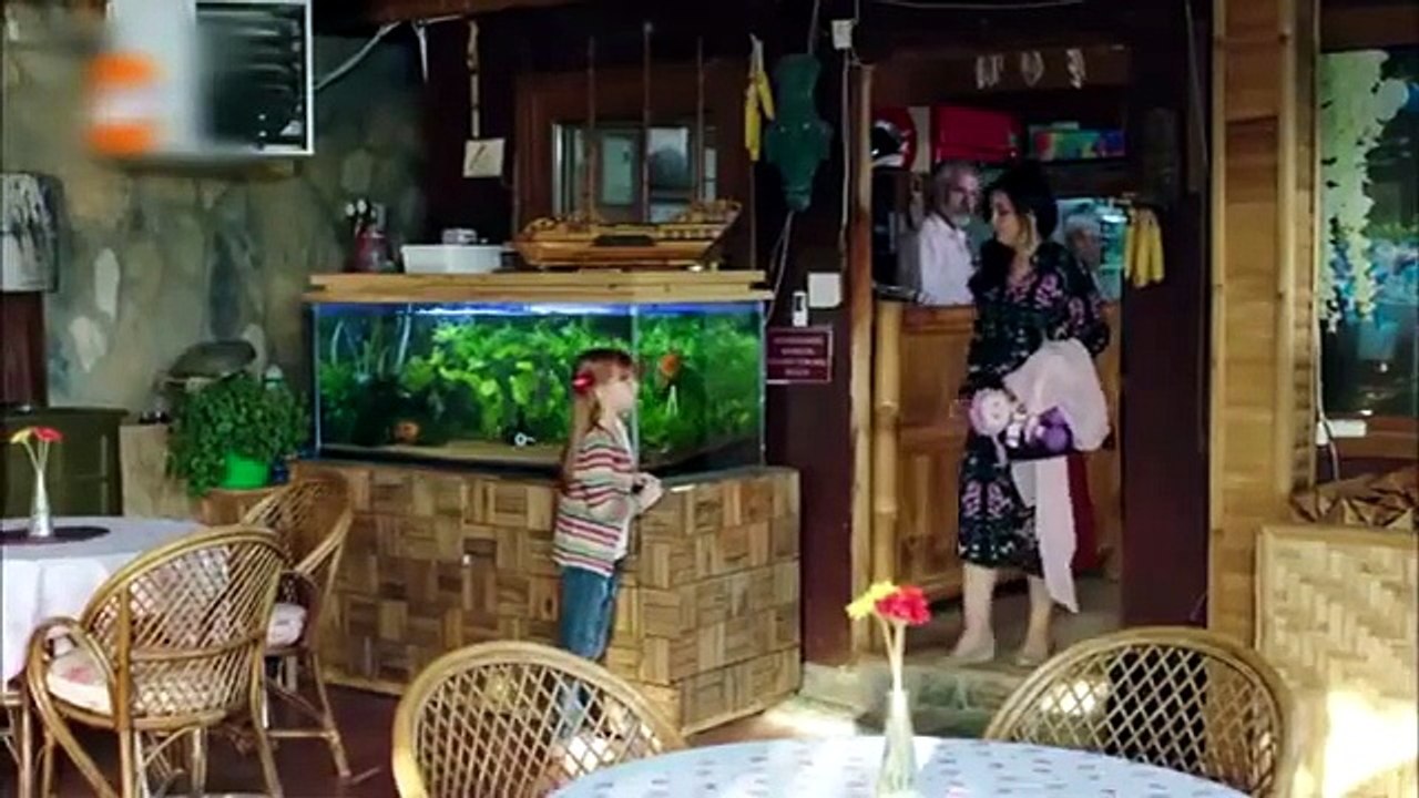 چۆلەکە بێ باڵەکان ئەڵقەی 1