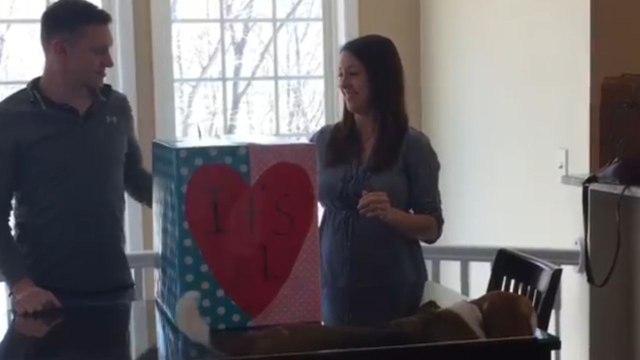 It's a boy! - Adorable gender reveal fills the future dad with joy