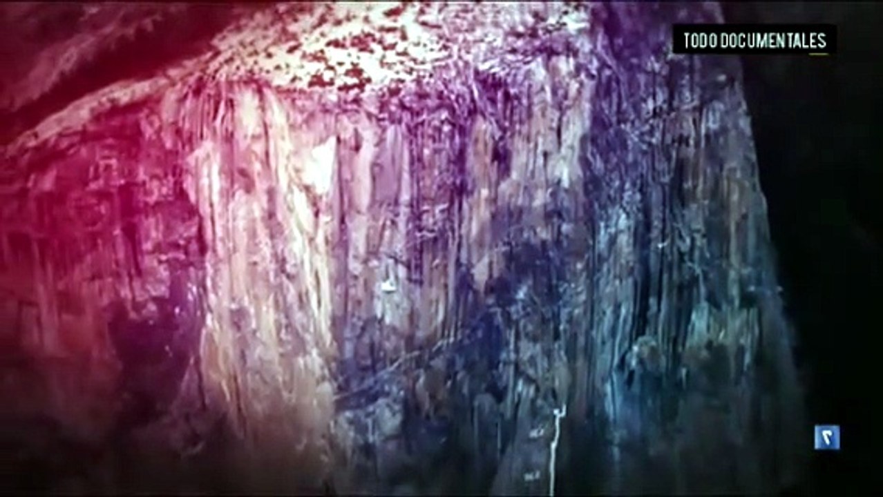Documental Free solo