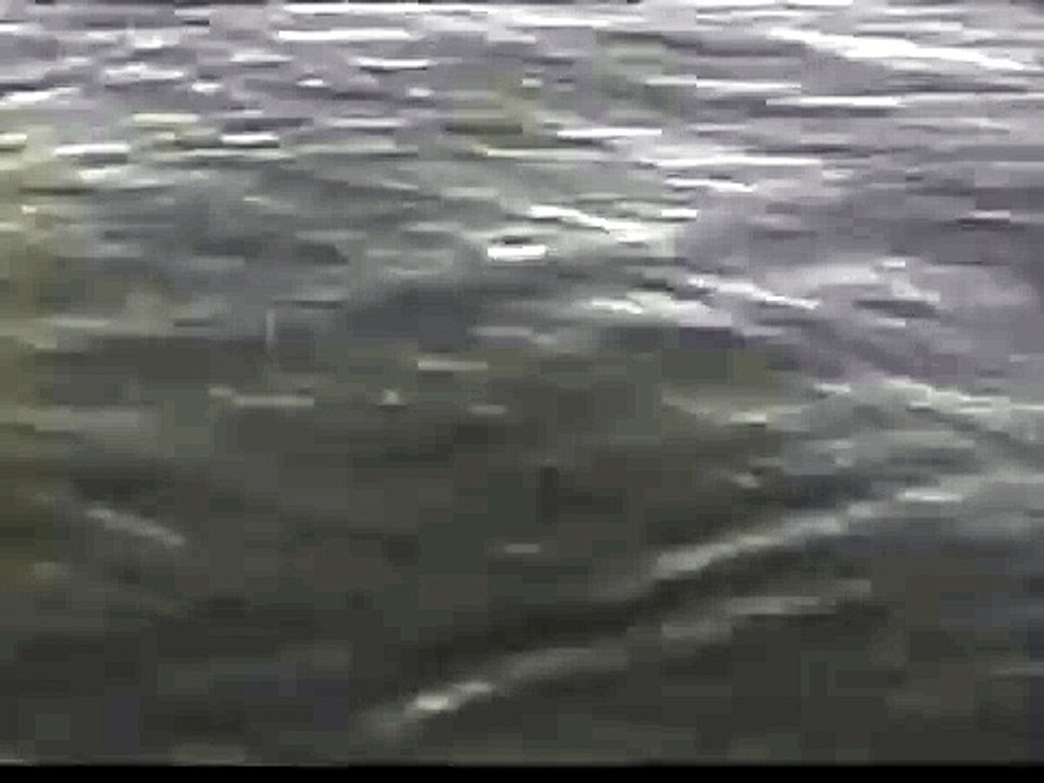 فيلم الخرساء