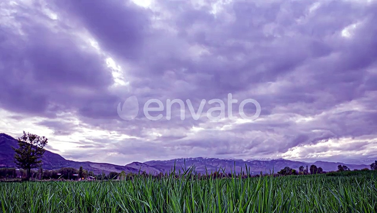 Light Blue Toned Sky Above Countryside Rural Field Landscape With Young Green Wheat Sprouts In