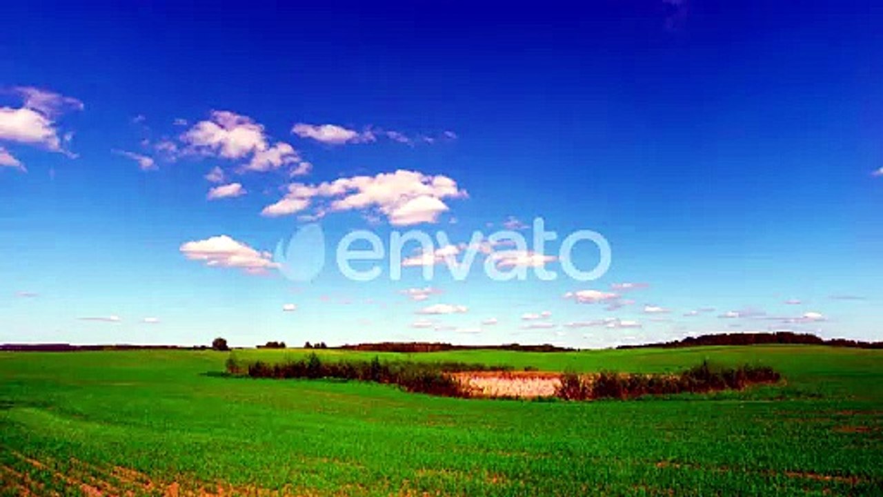 Idyllic Green Field Under a Sunny Blue Sky1
