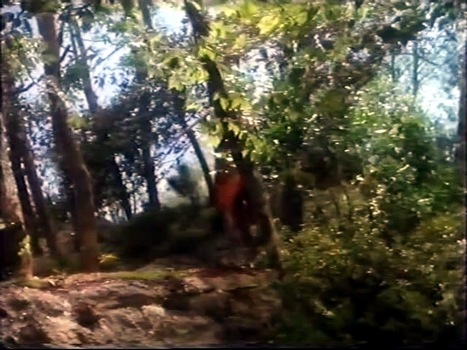 El cuentacuentos Capitulo 12 'Orfeo y eurydice'
