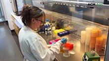 Multi-million dollar biosecurity boost announced for NSW