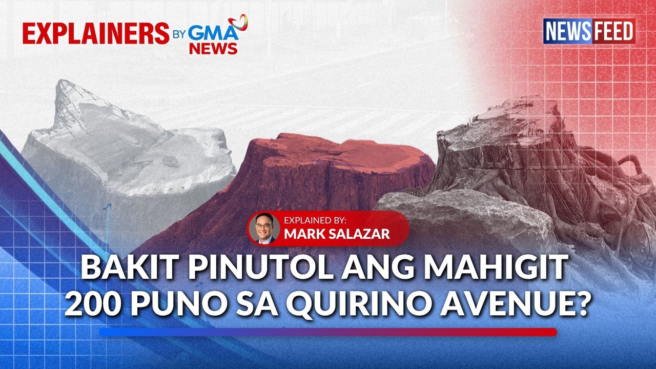 Bakit pinutol ang mahigit 200 puno sa Quirino Avenue? | GMA News Feed