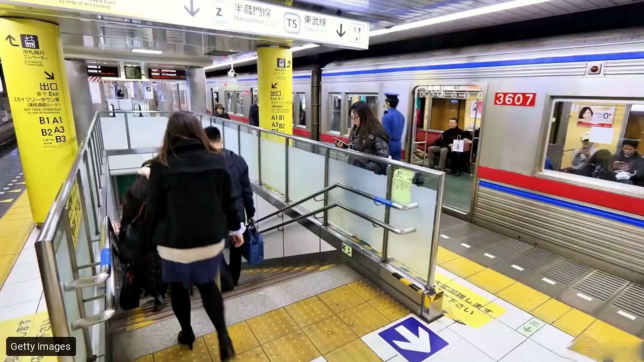 The Brainless Blob That Outsmarted Tokyo’s Best Engineers