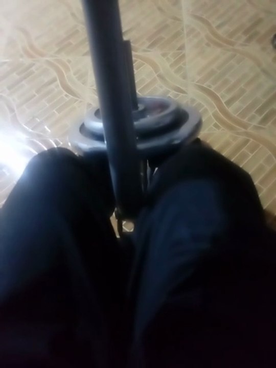 multimedia