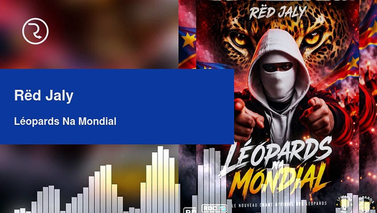 Léopards Na Mondial