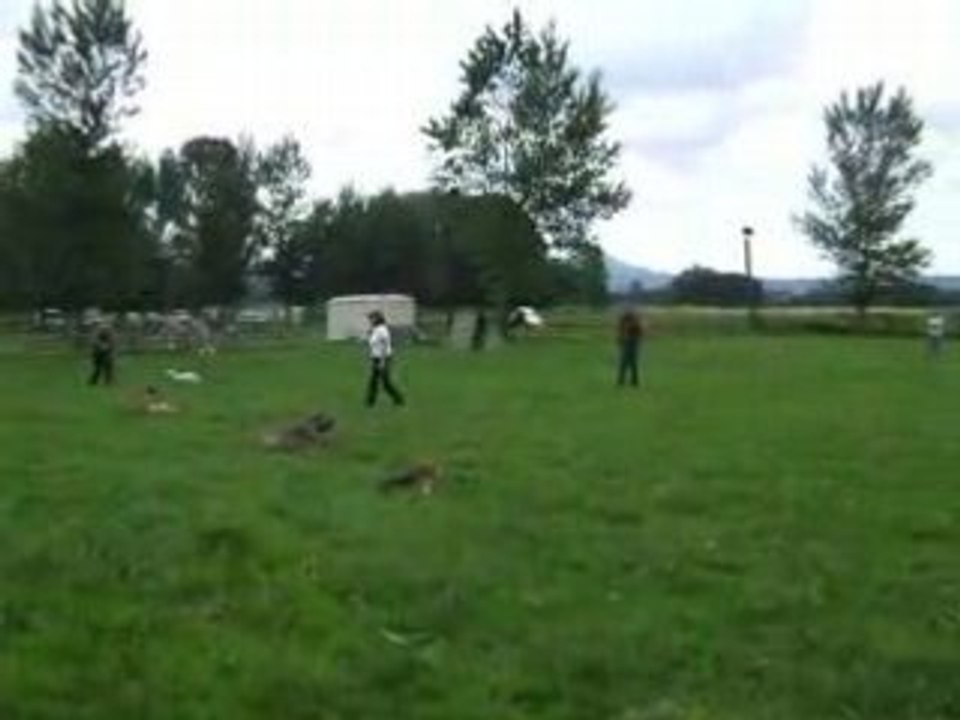 Pas bouger raté