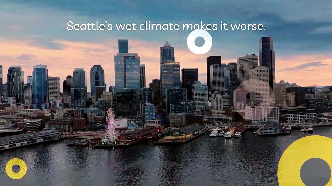 How Does Concrete Leveling Seattle Restore Uneven Concrete Surfaces?