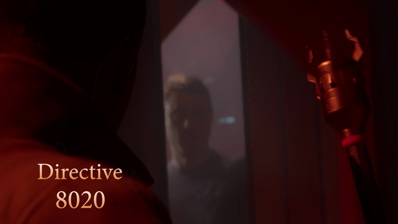 Directive 8020 The Sample Short