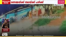 വർക്കലയിൽ സ്വകാര്യ ബസ്സിൽ നിന്ന് വയോധിക റോഡിലേക്ക് തെറിച്ചുവീണു... തലയ്ക്ക് പരിക്ക്